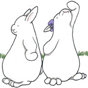 The Bunny System